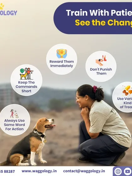 This graphic sums up my entire training philosophy. I believe patience and positive reinforcement are the keys to building a strong bond. By using clear, consistent words and rewarding good choices, we help dogs understand what we're asking, turning training into a trust-building exercise, not a battle of wills.