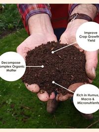 Gardening Soil & Nutrients
