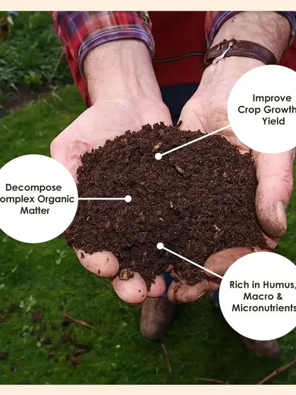 My Vermicompost is rich in humus and micronutrients. It helps decompose organic matter and improves crop growth and yield, making it a perfect addition to any soil mix.
