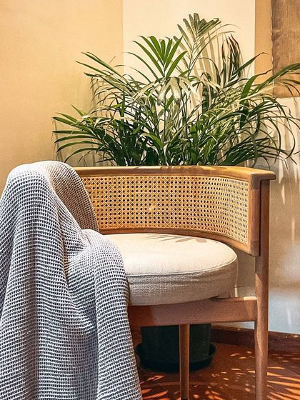 Sometimes, a simple, cozy corner is all you need. This cane-back chair paired with a soft throw blanket creates an inviting spot to unwind, proving that thoughtful design can make any space special.