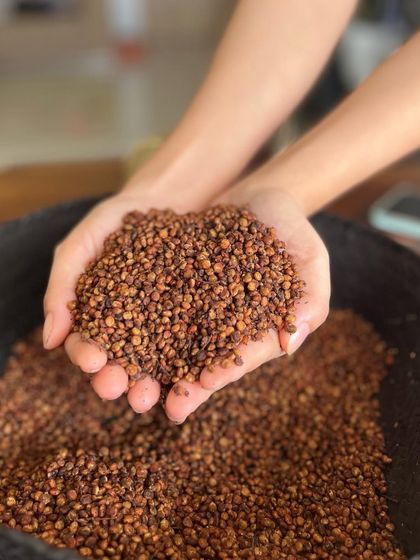 A handful of dried Sumac berries. We grind these into a powder to add a tangy, lemony flavor to our dishes. It's a wild ingredient that also has traditional medicinal uses.