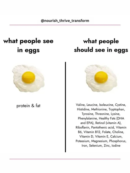 An egg is more than just protein and fat. This graphic reveals the incredible nutritional density of a single egg, which contains essential amino acids, vitamins like A, B12, and D, and minerals like iron and selenium. It's a true superfood.