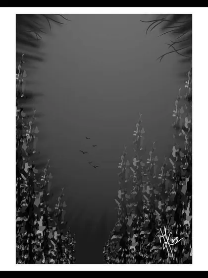 A dark, moody illustration of a forest. This piece is for when you need to go into the forest to lose your mind and find your soul.