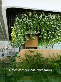 Corporate Plant Solutions