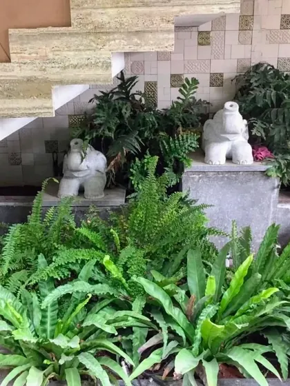 The space under a staircase is brought to life with a bed of lush ferns and decorative elephant statues. I specialize in finding creative solutions to greenify awkward or overlooked spaces.