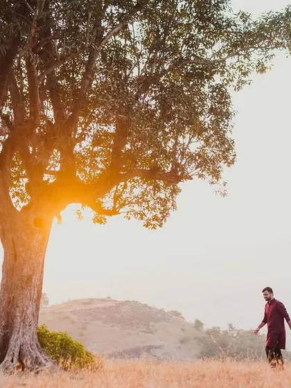 A wide, cinematic shot of a couple walking hand-in-hand through a golden field at sunset, with a magnificent tree framing the scene. A perfect setting for a romantic pre-wedding portrait.