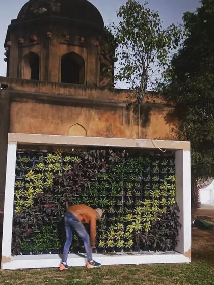 Our team member at work on the Nehru Stadium installation. We can construct these freestanding vertical gardens quickly for events, exhibitions, and temporary installations.