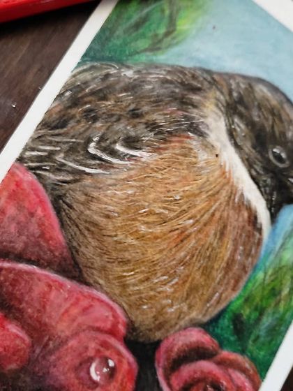 A close-up of the bird drawing, focusing on the texture of its feathers.
