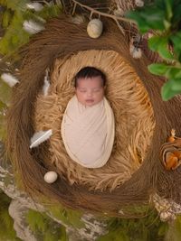 Newborn & Baby Photography
