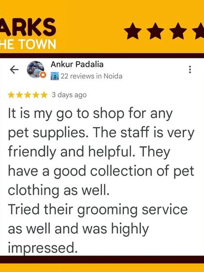 This client calls us their "go to shop for any pet supplies" and was highly impressed with our grooming service. We aim to be a reliable resource for all pet needs.