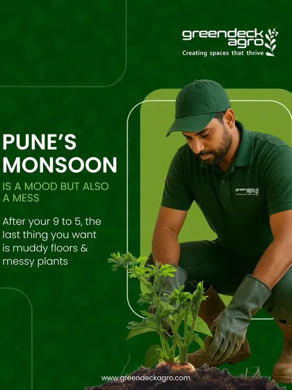 Pune's monsoon can be a mess for balconies and gardens. Our team is equipped to handle the muddy floors and messy plants, restoring order to your green space.