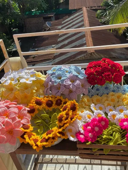Another angle of the large order enjoying the sun, showing the vibrant colors.