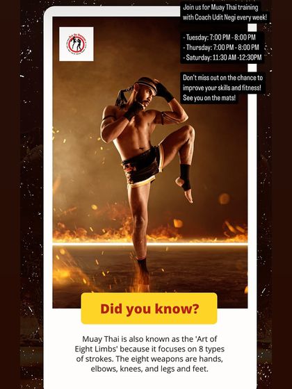 Muay Thai & Kickboxing: The Art of Eight Limbs photo 10