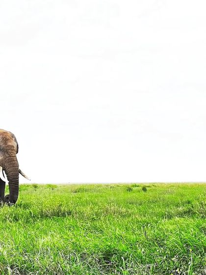 Giants & Other Jewels photo 21