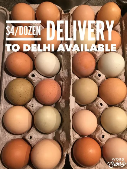 We offer farm fresh eggs from our mixed flock, which is why you'll see a beautiful variety of colors in every carton. We offer delivery to Delhi and farm pickup for our local eggs.