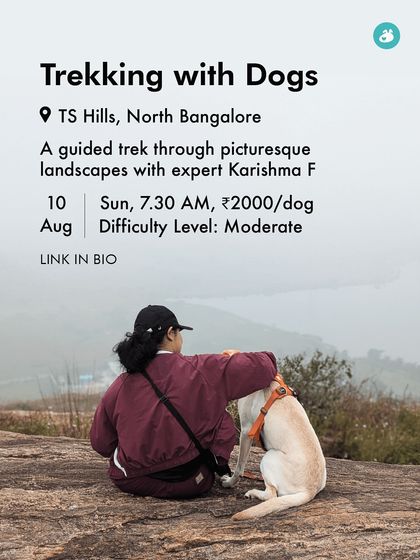 The Pack - Pet-Friendly Adventures & Meetups Guided Treks & Nature Hikes photo 16