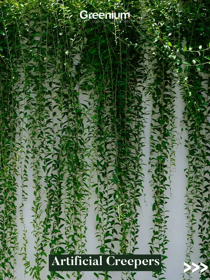 Create a cascading wall of green with our artificial creepers. These are perfect for hanging from ceilings, draping over walls, or adding a touch of wildness to your indoor garden.