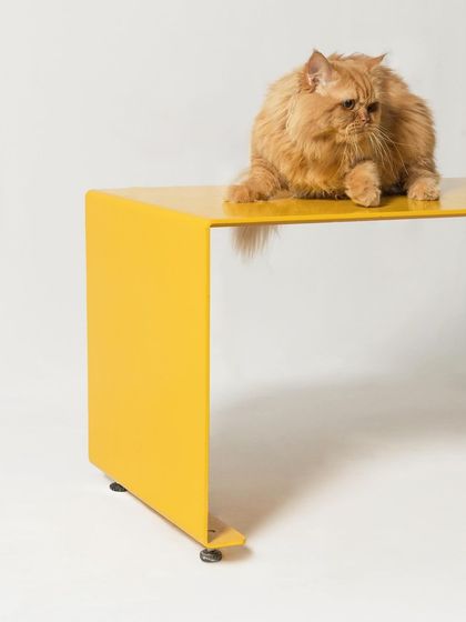 Studio Chintala - Interior Architecture & Design Product & Furniture Design photo 11