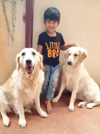 In-Home Pet Boarding