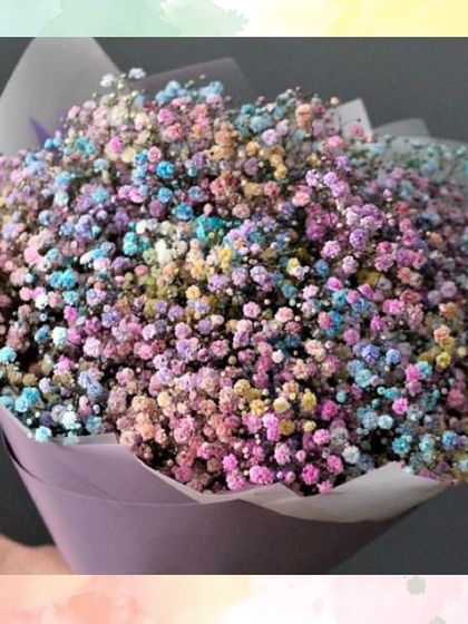 Our newest introduction for Holi, a stunning bouquet of rainbow gypsophila. These colourful flowers perfectly capture the vibrant spirit of the festival.