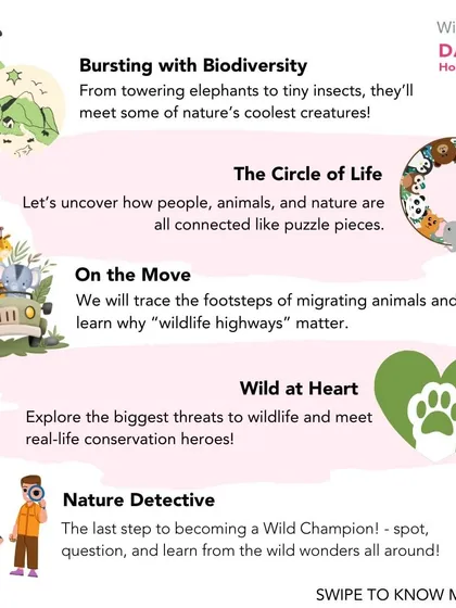 A look at the curriculum for our Wild Shaale Dasara Holiday Camp. Kids aged 9-12 can become "Nature Detectives," learning about biodiversity, the circle of life, and real-life conservation heroes.
