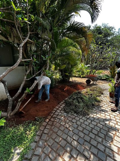 Landscaping in progress at our Alibaug site. A worker prepares the soil along a cobblestone path, carefully shaping the garden beds to blend with the existing trees and terrain.