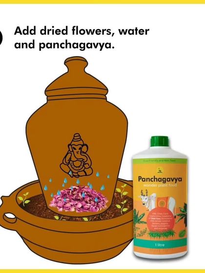 Now you can start adding your dried pooja flowers into the Ganesha unit. Sprinkle some water and Panchgavya to help the flowers break down into rich compost.