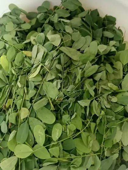 A handful of fresh moringa leaves, another key ingredient in my hair oil. Moringa is rich in nutrients that strengthen hair follicles and promote growth.