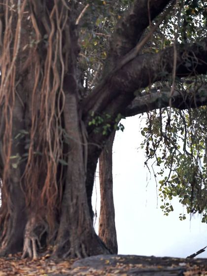 Giants & Other Jewels photo 15