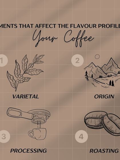 A simple breakdown of the four key factors that shape your coffee's taste: varietal, origin, processing, and roasting.