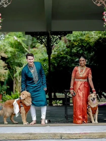 A fun family portrait, this couple included their two golden retrievers in their wedding photos, making for a truly personal and joyful memory.