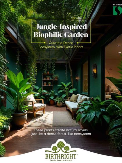We curated a dense, jungle inspired ecosystem for this covered patio. By layering exotic plants like Bird of Paradise, Monstera, and various ferns, we created a lush, immersive forest like experience that transports you to another world.