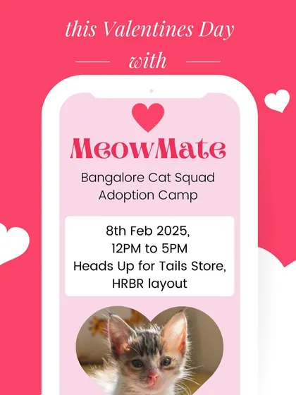 Find your MeowMate this Valentine's Day at our adoption camp at the Heads Up For Tails store in HRBR layout. Your future feline bestie is waiting!