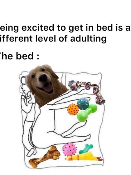 The Pack - Online Pet Parent Community The Fun Side of Pet Parenting photo 13