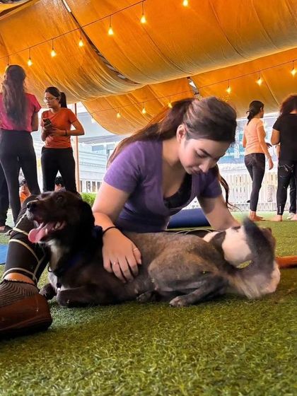 A moment of calm as a participant gently pets a larger dog and a small puppy resting beside her on the turf.