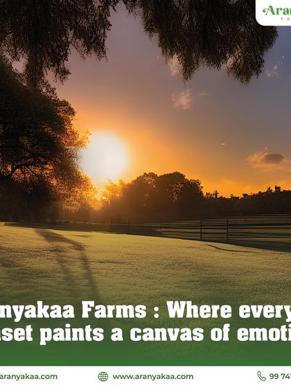 Welcome to Aranyakaa Farms, where every sunset is not just a view, but a canvas of emotion, painting the sky with colors that touch the soul.