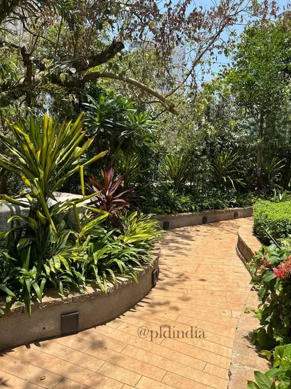 A mix of plants with different forms, from spiky cordylines to broad-leafed shrubs, creates a dynamic and interesting garden border. The path itself becomes a journey through a botanical collection.