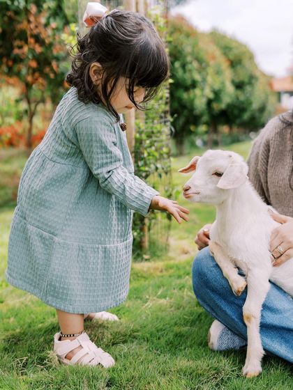 A little girl gently petting a baby goat at a farm. These interactions with animals are always so sweet to witness.