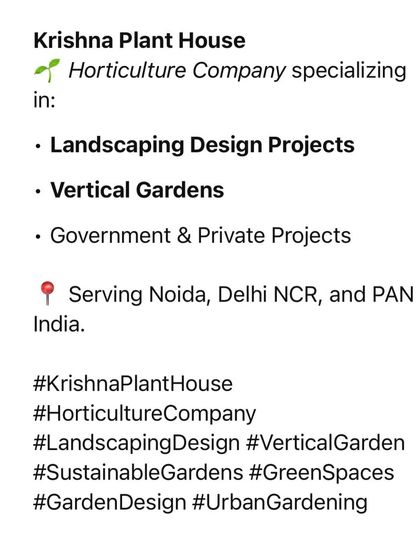 Our Services & Portfolio photo 5