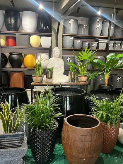 Our Kadri store is filled with inspiration. Here you can see a central display with a Buddha statue surrounded by various plants and our diverse planter collection.