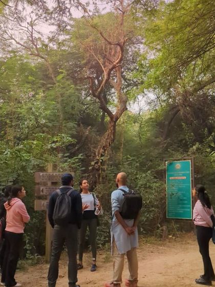 Trove Experiences - Wellness & Mindful Movement Forest Therapy: Reconnect with Nature photo 3