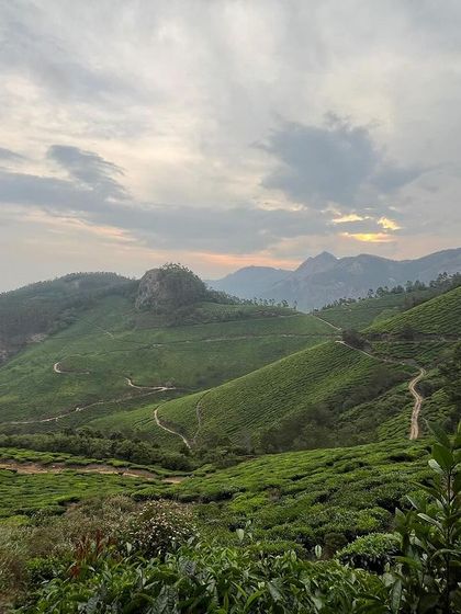 The rolling green hills and winding paths of the Munnar tea estates create a landscape like no other.