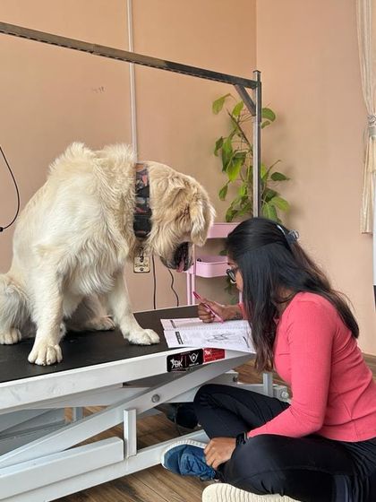 Mamppi Deb - Therapeutic Skin & Coat Treatments Meet Me & My Mission photo 20