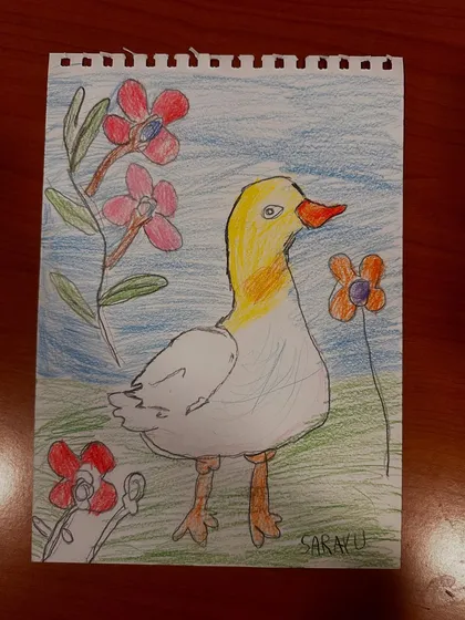 A close-up of a student's duck drawing, showing their unique style and choice of colors for the flowers and background.