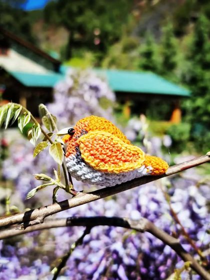 Another shot of Titli enjoying the spring bloom. These little birds make wonderful decorative pieces or photography props.