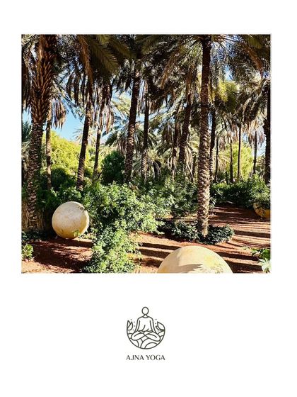 The lush date palm oasis in Al-Ula offers a stunning contrast to the surrounding desert. We take nature walks here to connect with the life-giving energy of this special place.