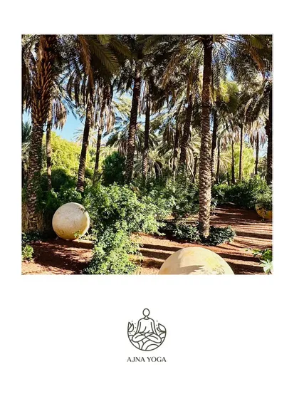 The lush date palm oasis in Al-Ula offers a stunning contrast to the surrounding desert. We take nature walks here to connect with the life-giving energy of this special place.