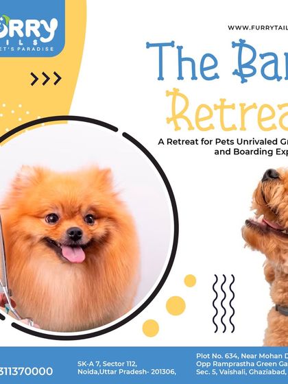 "The Bark Retreat" offers an unrivaled grooming and boarding experience for your pet, ensuring they return home happy, healthy, and looking great.