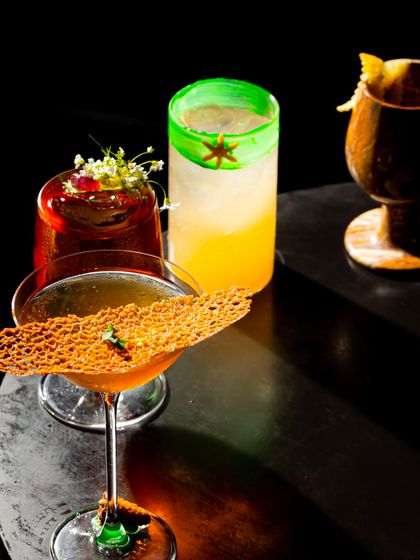 Let our enchanting drinks enthral your senses. This collection showcases the artistic flair and impeccable garnishes that elevate our cocktails into a multi-sensory experience.