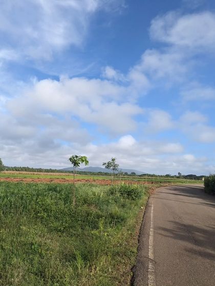 A beautiful, wide-open view of farmland under a big sky. Our rides are a perfect way to escape the city and enjoy some fresh air.
